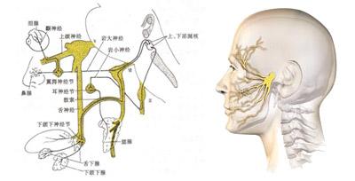 三叉神經(jīng)痛的癥狀，三叉神經(jīng)痛的治療，烏魯木齊友好醫(yī)院面神經(jīng)科在線咨詢