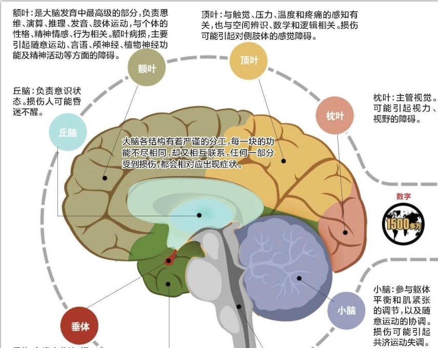 帕金森要怎么治疗呢？得了帕金森需要怎么办？乌鲁木齐友好医院脑病专科