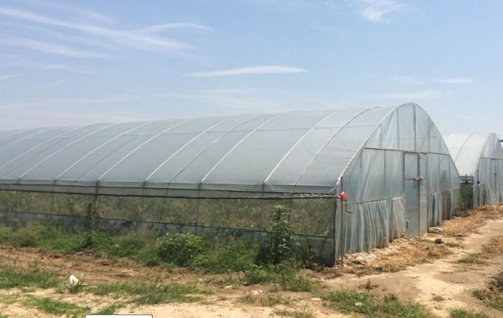 薄膜连栋温室大棚使用过程中如何给农作物施肥