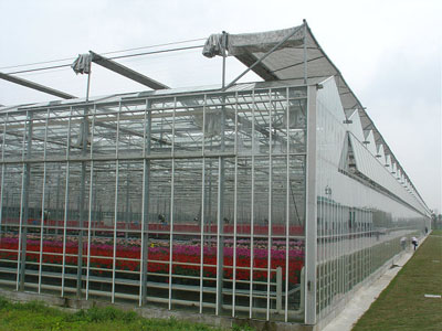 玻璃温室大棚建造