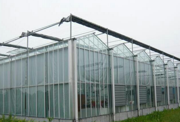 玻璃温室大棚工程案例01