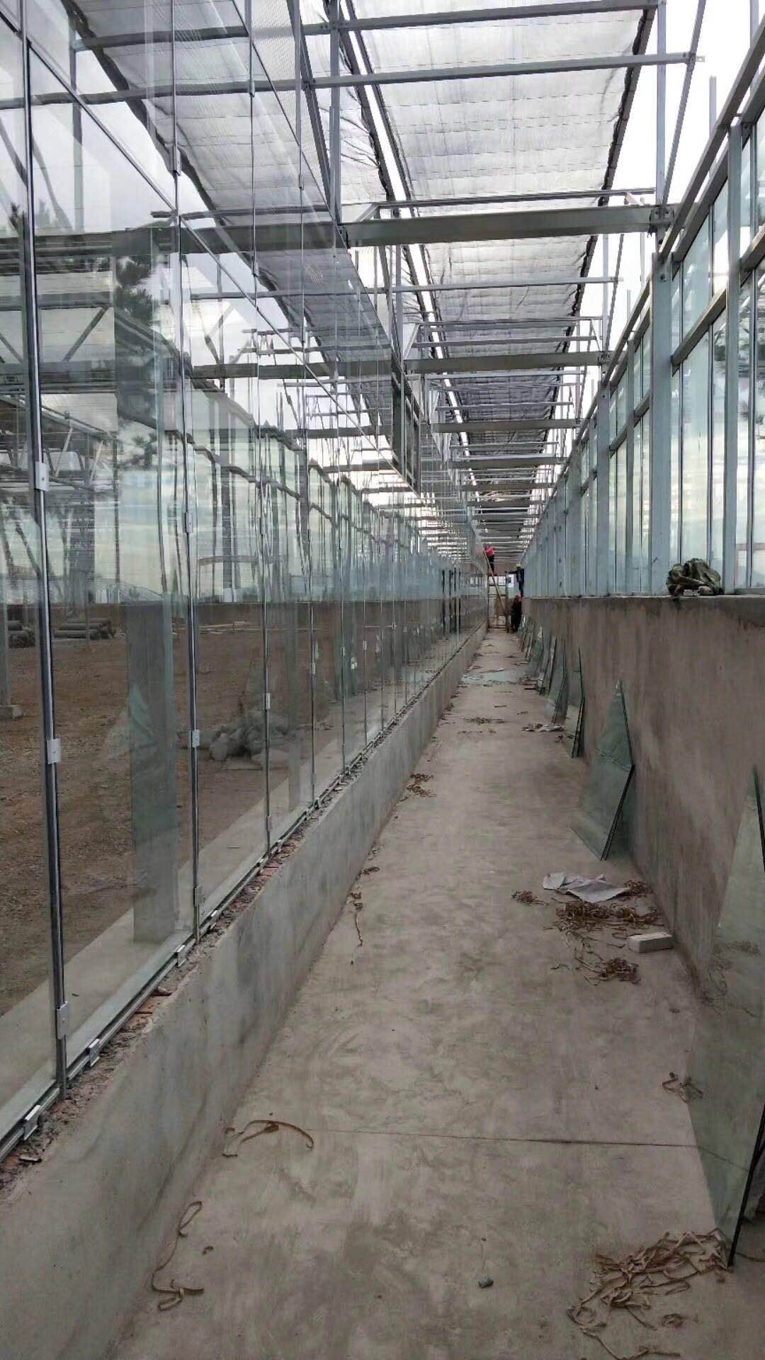 温室玻璃大棚