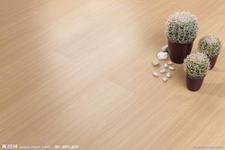 苏州质量最好的实木复合地板教您客厅装木地板有哪些妙法