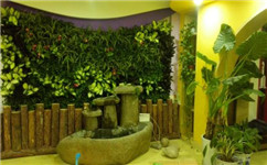 成都仿真室内绿植墙：仿真植物墙，时尚的室内装饰樯