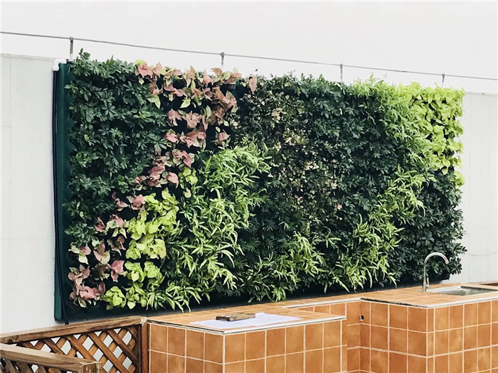 户外景观绿植墙,成都室内绿植墙,大型室内绿植设计