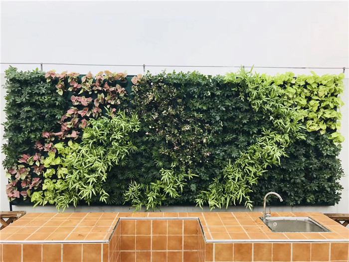 绿植墙怎样安装
