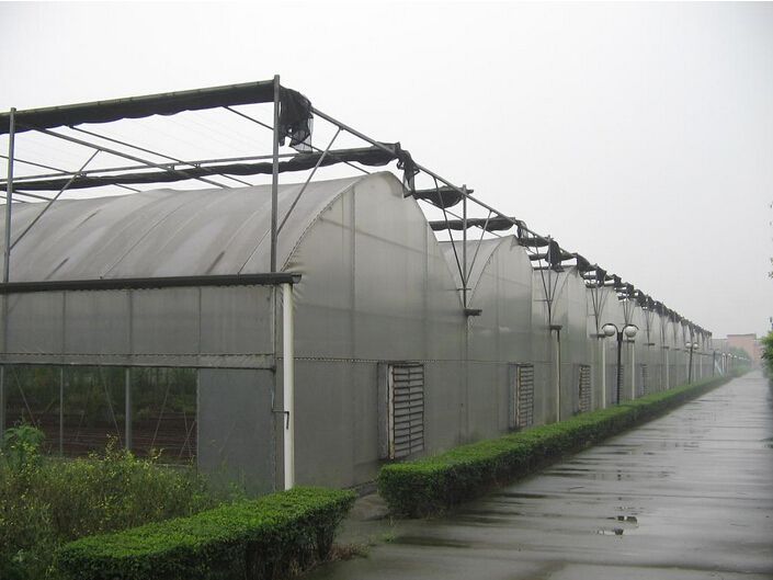 浅谈连栋玻璃温室工程在建造之时需要格外关注的地方有哪些 浅谈连栋玻璃温室工程在建造之时需要格外关注的地方有哪些