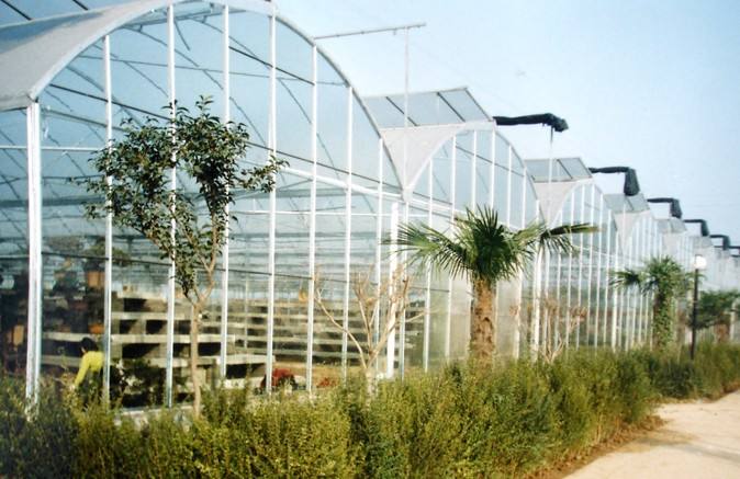 玻璃温室大棚湿度科学控制方法有哪些呢