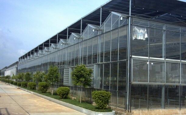 带你了解连栋玻璃温室的环境控制的方方面面