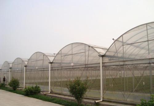 我来告诉你连栋玻璃温室大棚建设前期需要注意的细节 我来告诉你连栋玻璃温室大棚建设前期需要注意的细节