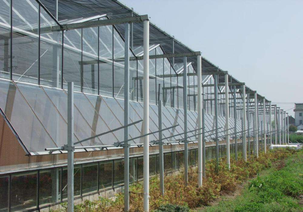 解析连栋玻璃温室大棚建设应满足的要求以及温室大棚建设中应选择的地膜的样子