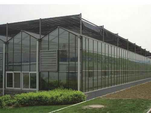 玻璃温室大棚建设中如何防止大棚土老化