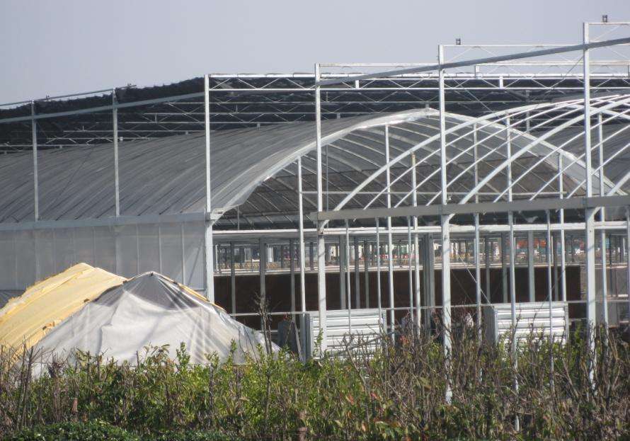 分析连栋玻璃温室大棚已经是农业发展新形势,你知道多少 分析连栋玻璃温室大棚已经是农业发展新形势,你知道多少