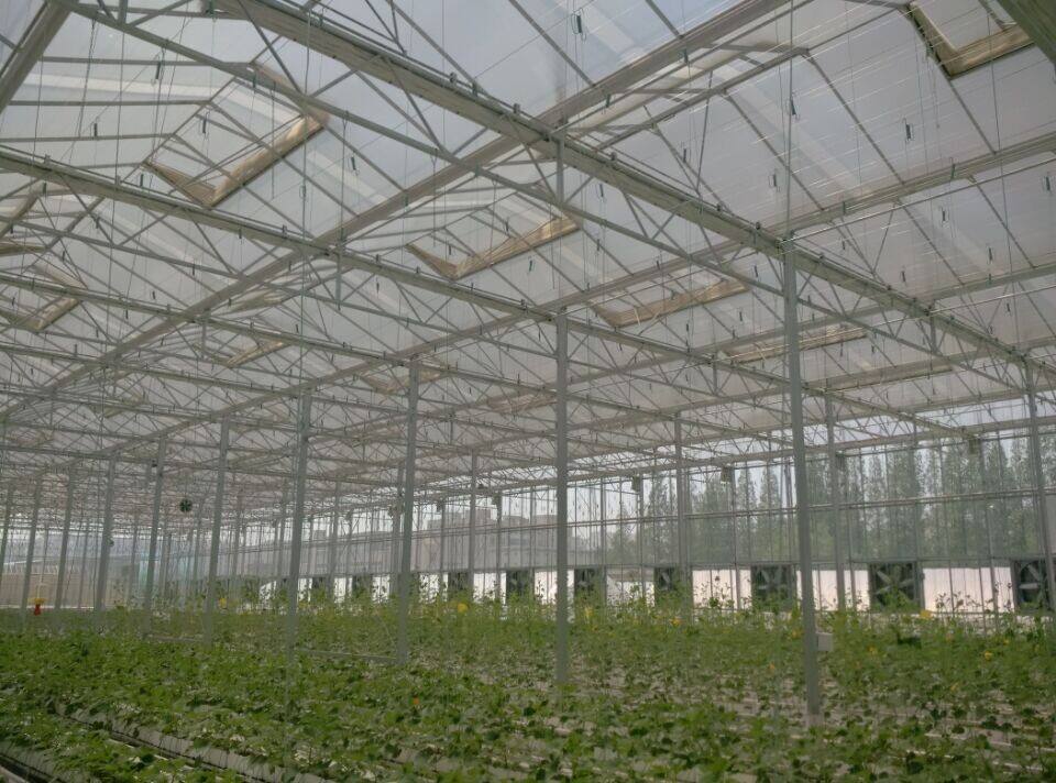 连栋玻璃温室密封性的关键以及玻璃温室大棚在农业发展中发挥的重要作用