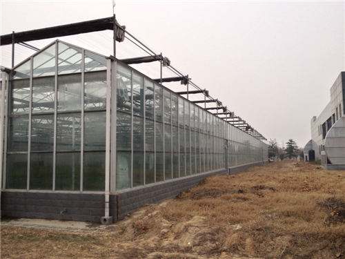 武汉玻璃温室建设大棚