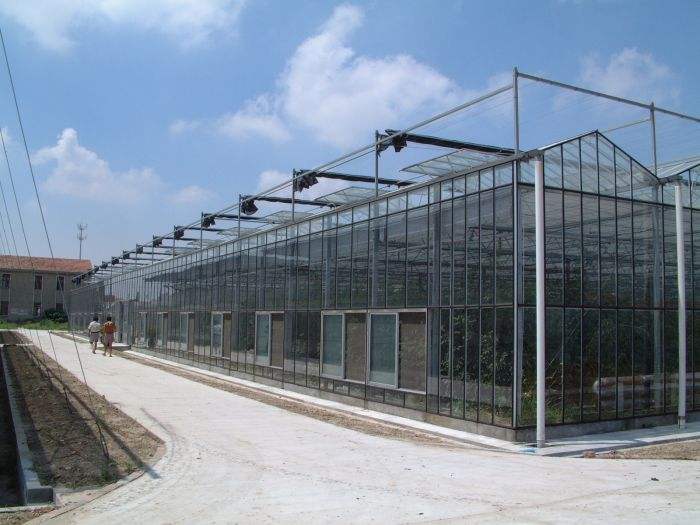 广州智能玻璃温室大棚