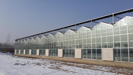 廊坊/沧州玻璃温室价格能耗的影响因素有哪些