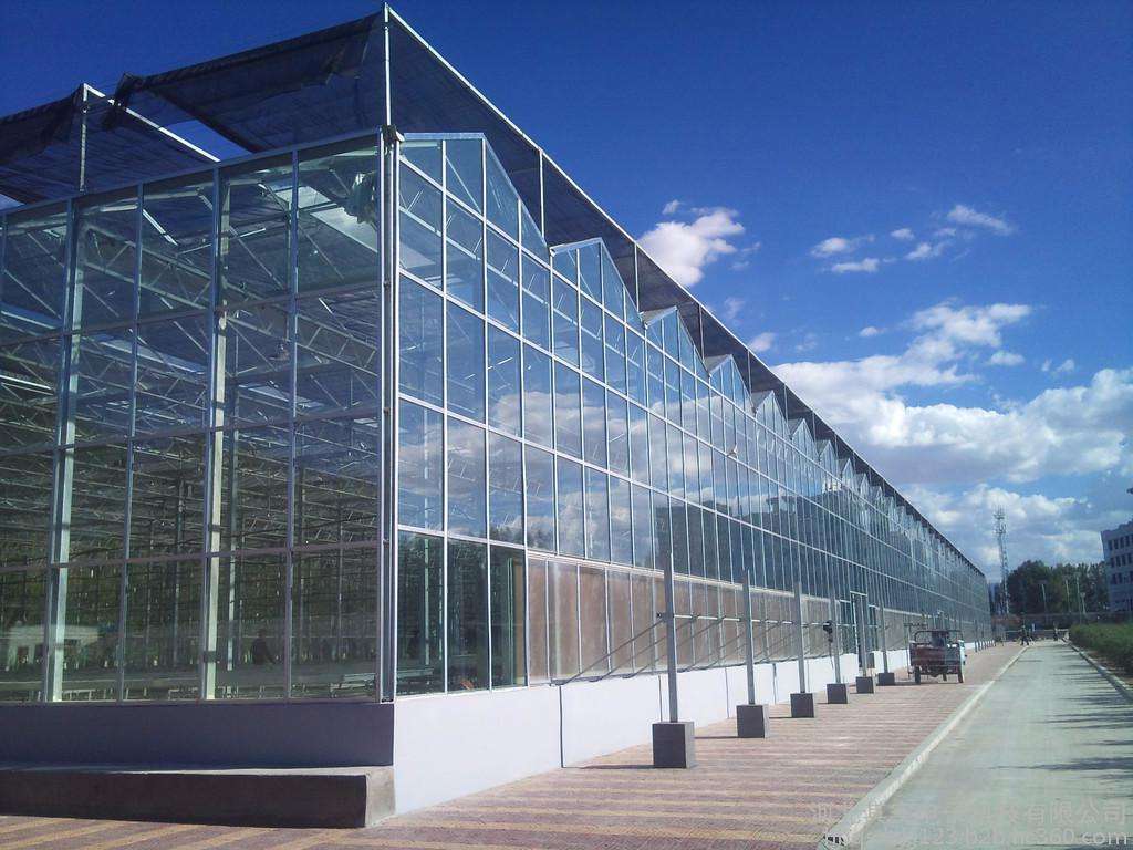 洮南市/延吉市玻璃温室大棚在农业种植方面如何发挥优势