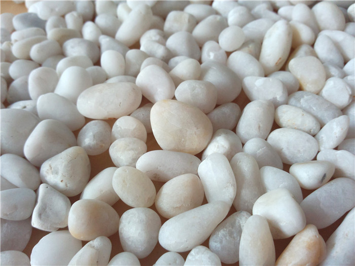 純白色鵝卵石0.8-1.5cm
