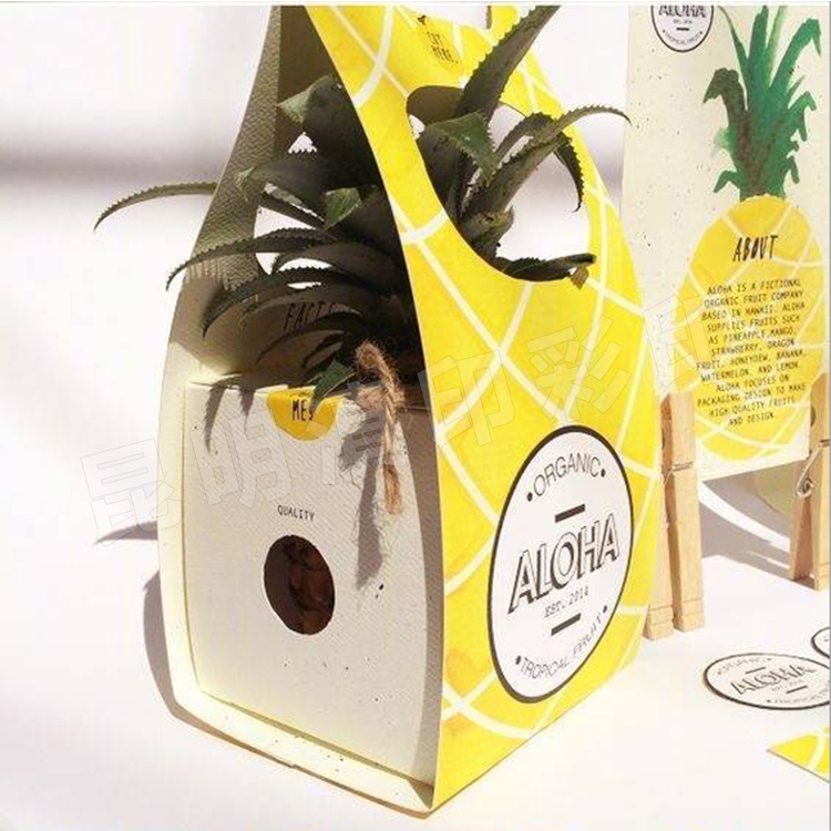 菠蘿包裝盒