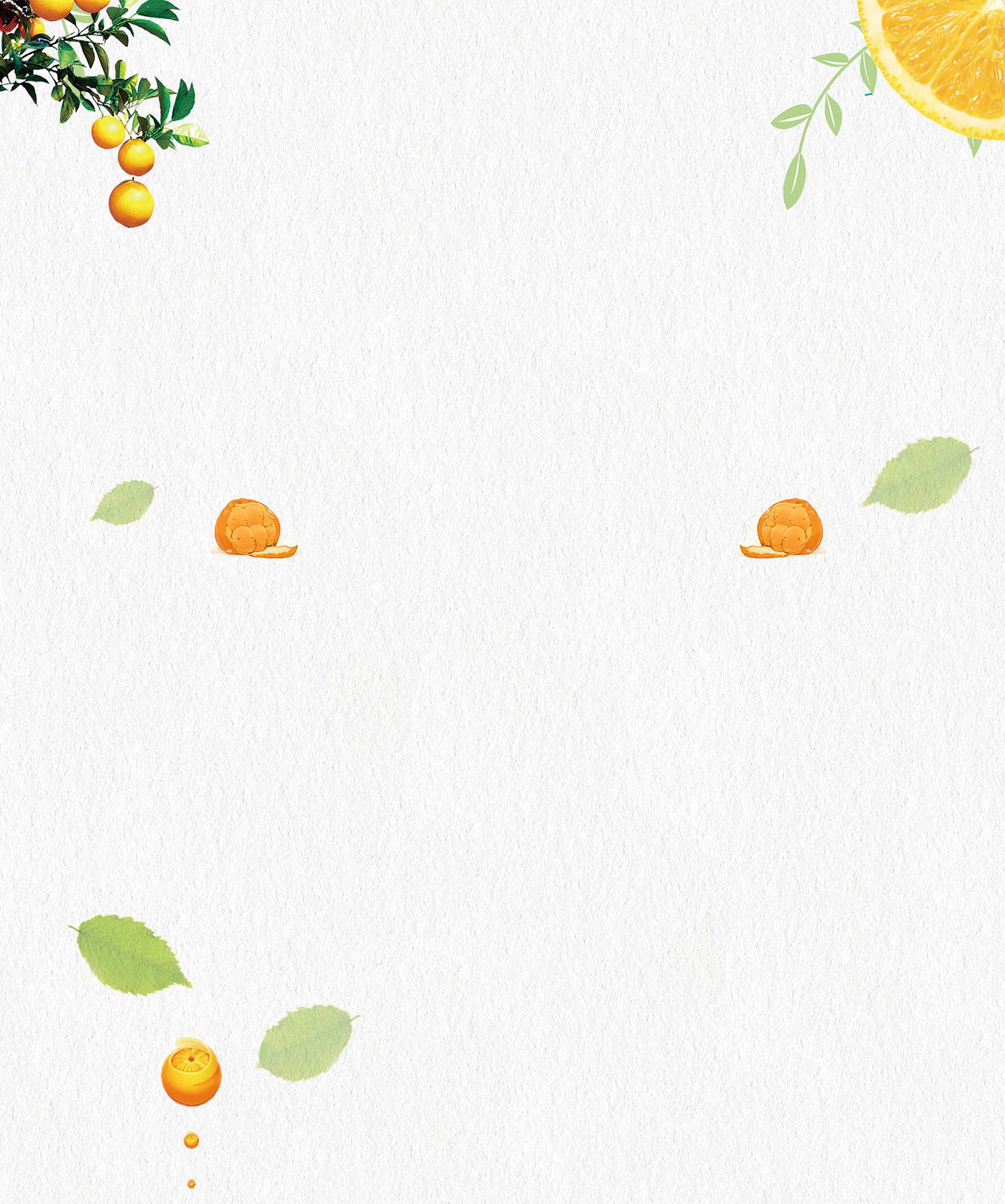 冰糖橙背景圖
