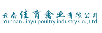 云南山鸡养殖批发厂教你三招就能区分真假山鸡！