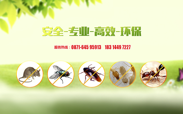 昆明除虫除蚁公司介绍如何对按蚊的危害进行控制