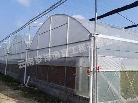 云南連棟日光溫室大棚廠家
