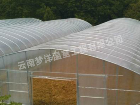 云南蔬菜單體插地大棚廠家