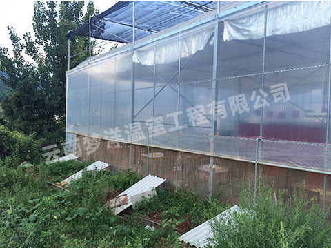 云南餐廳溫室大棚廠家