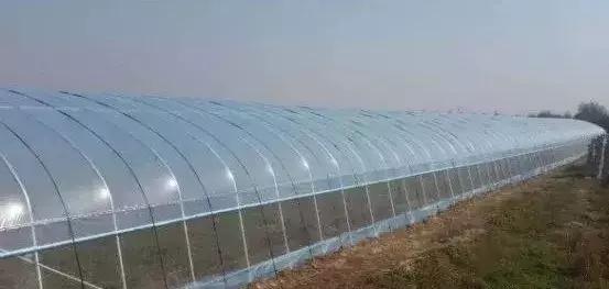 云南温室大棚