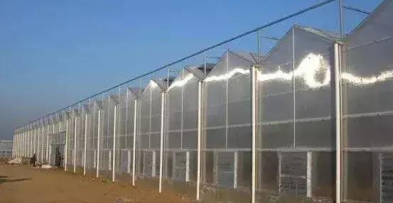 云南温室大棚