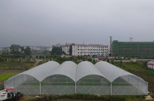 云南简易连栋薄膜温室