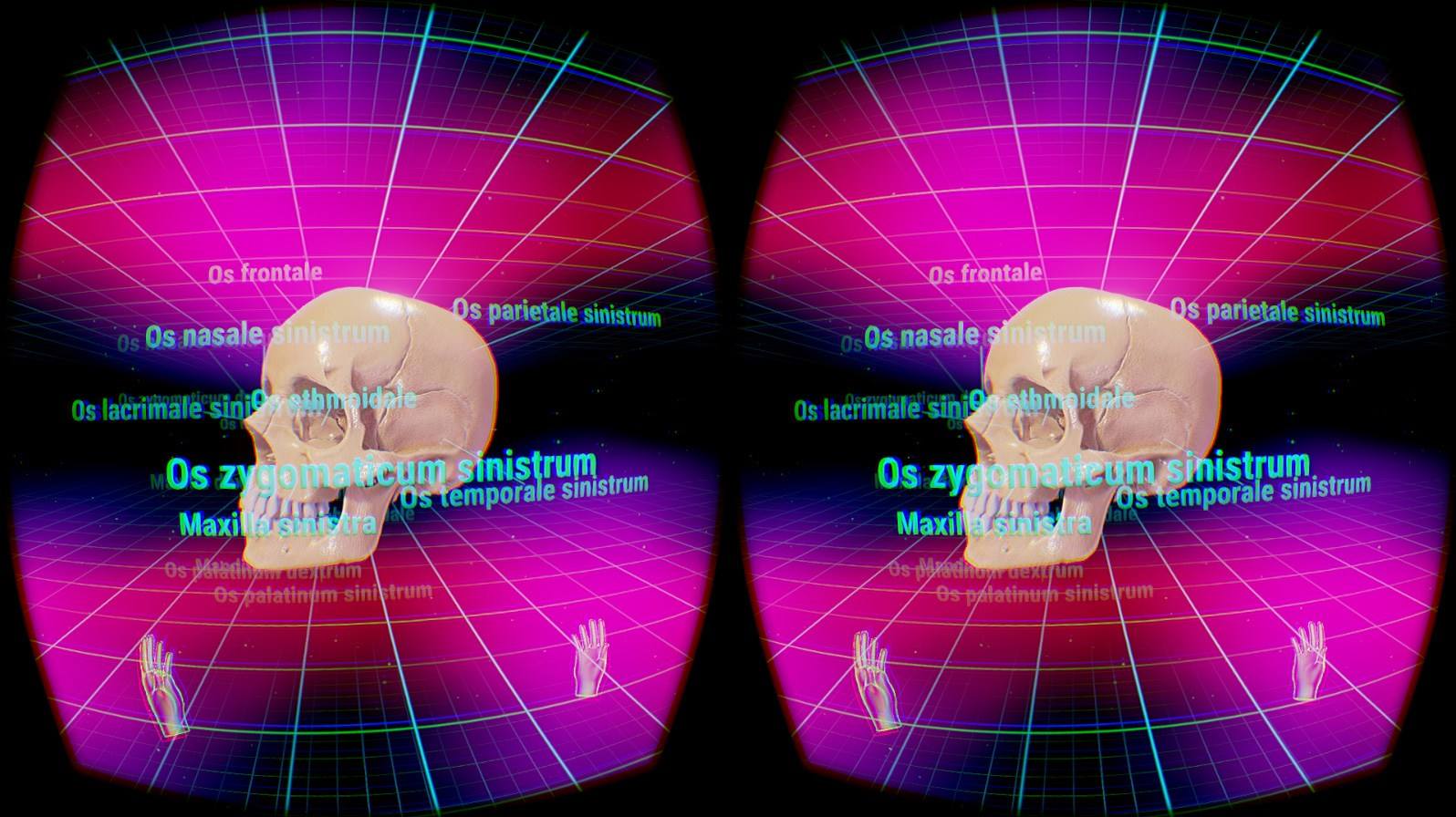 VR技术在医学上的应用