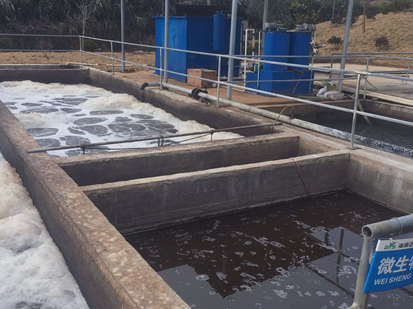 养殖一体化污水处理设备