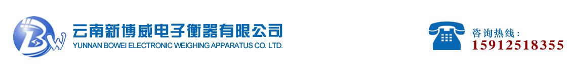 云南新博威电子衡器有限公司_Logo