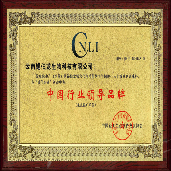 中国行业领导品牌证书
