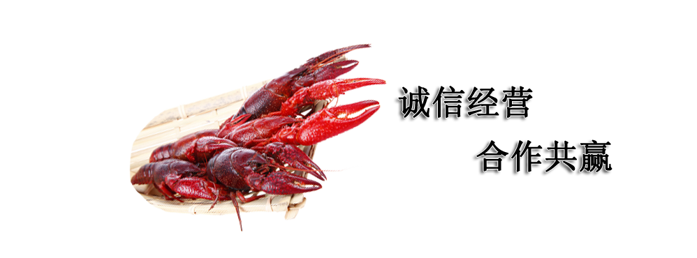云南小龙虾养殖基地专业养殖为你提供优质的龙虾