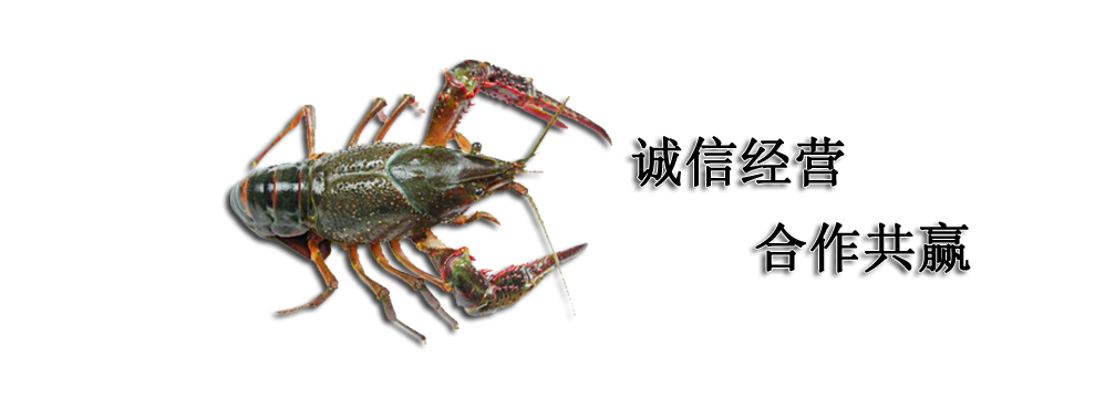 云南昆明小龙虾配送公司和你叙述龙虾养殖不良水质的调控措施