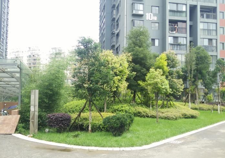 昆明酚醛板厂家