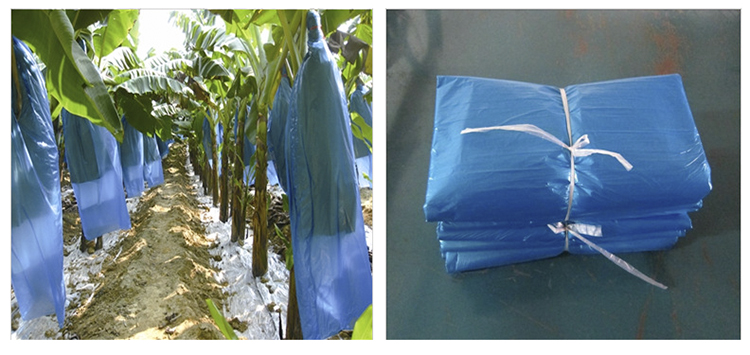 云南珍珠棉廠長期提供香蕉套袋