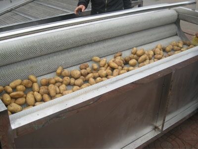 土豆清洗机专业设备 诸城友一机械专业厂家生产