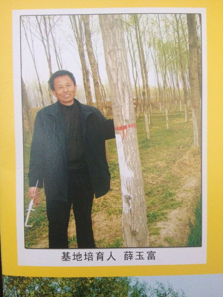 河南省新乡市最大的柳树种植基地是哪家？