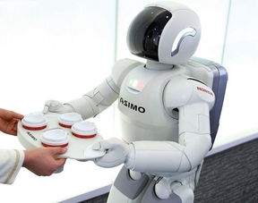 云南机器人：你的生活将被机器人改变