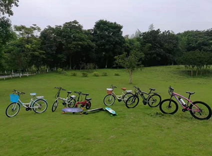 重慶電助力自行車
