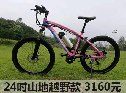 重庆电助力自行车