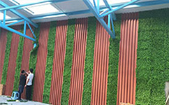 沈阳植物墙