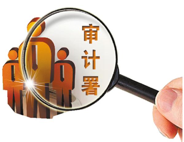 云南专项审计列举财务报表审计总体目标