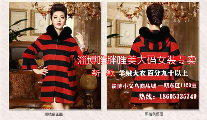 淄博哪里有专业卖大码女装外套的服装店?