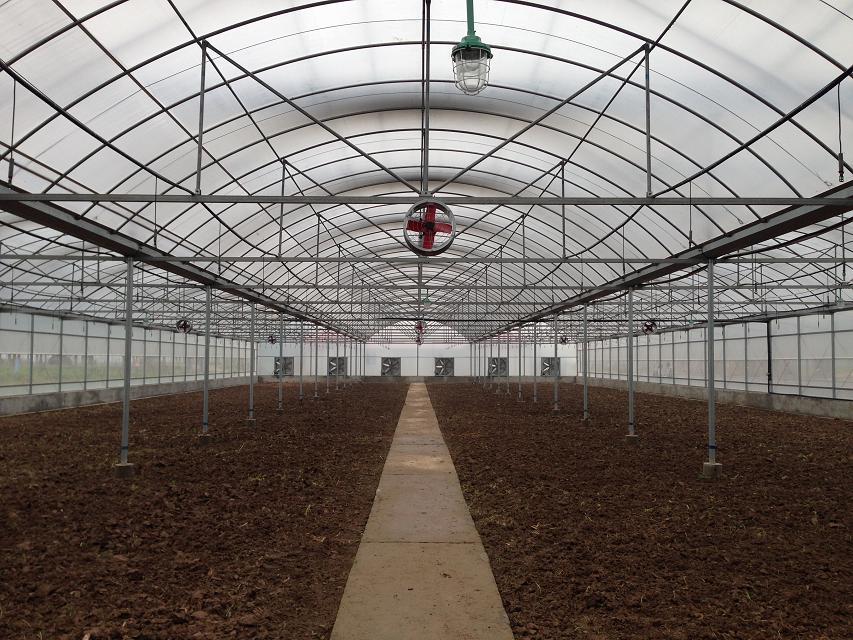 河南省安阳市博利农业有限公司为您讲述关于大棚种植方面的小知识